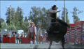 dr dolittle 3-avi_1000_219.jpg
